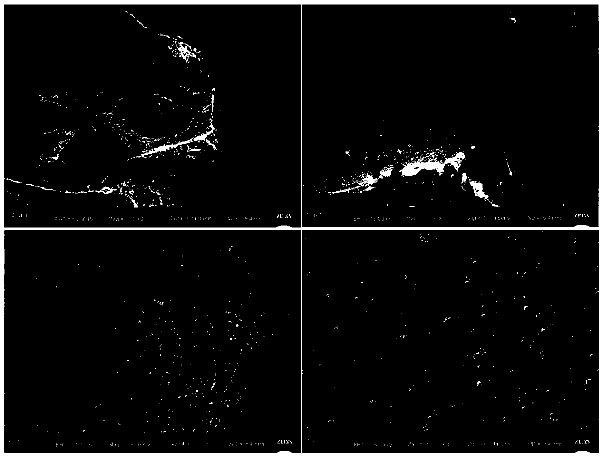 Hydrophilic oleophobic sponge as well as preparation method and application thereof