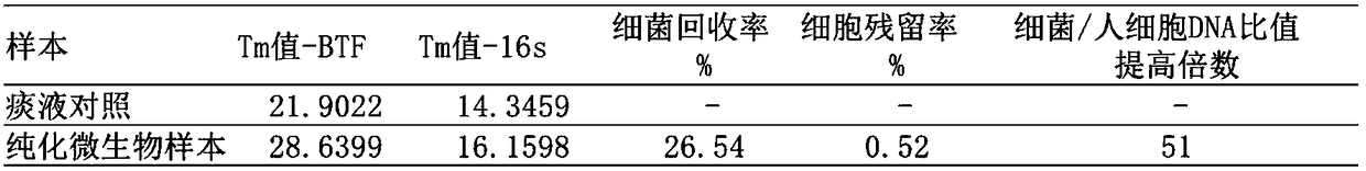 Rapid purification reagent for sputum microorganisms, and application of rapid purification reagent