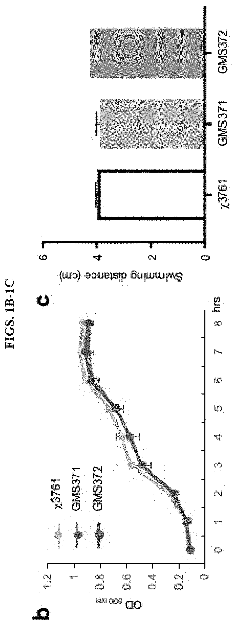 Tumor-navigating, self-eradicating, trail-armed salmonella for precision cancer therapy