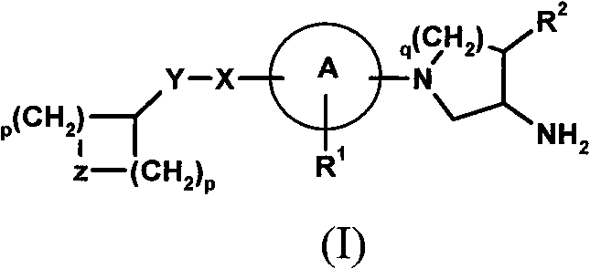 Compounds for the treatment of metabolic disorders