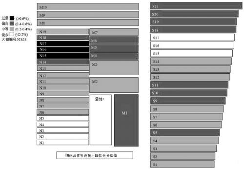 Soil testing and formulated fertilization method for vegetables