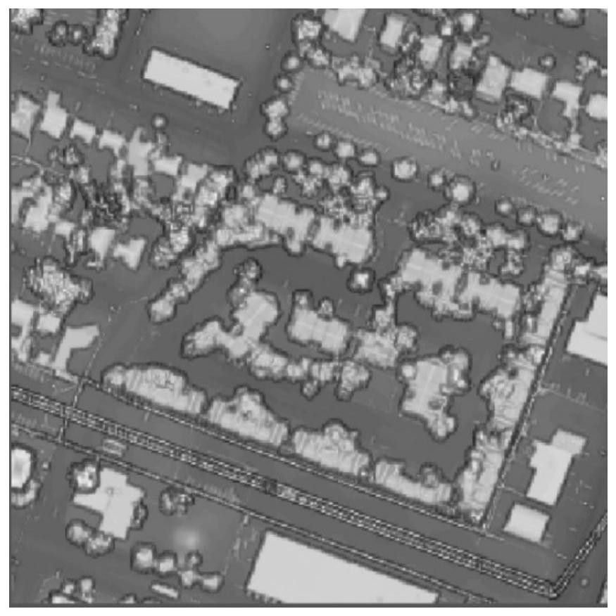 Hyperspectral image eigen decomposition method based on digital surface model assistance