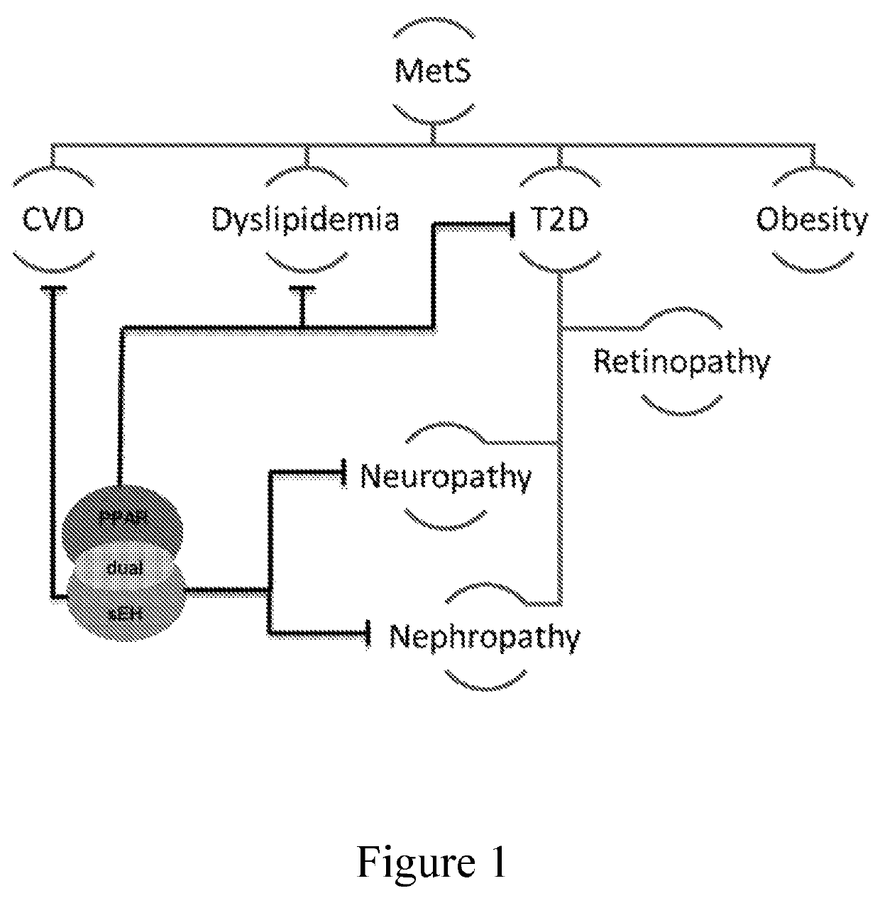 Diabetes and metabolic syndrome treatment with a novel dual modulator of soluble epoxide hydrolase and peroxisome proliferator-activated receptors