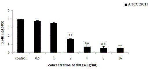 Application of plumbagin for inhibiting growth of staphylococcus aureus biofilm