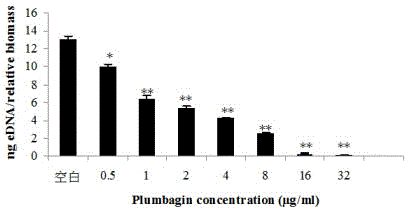 Application of plumbagin for inhibiting growth of staphylococcus aureus biofilm