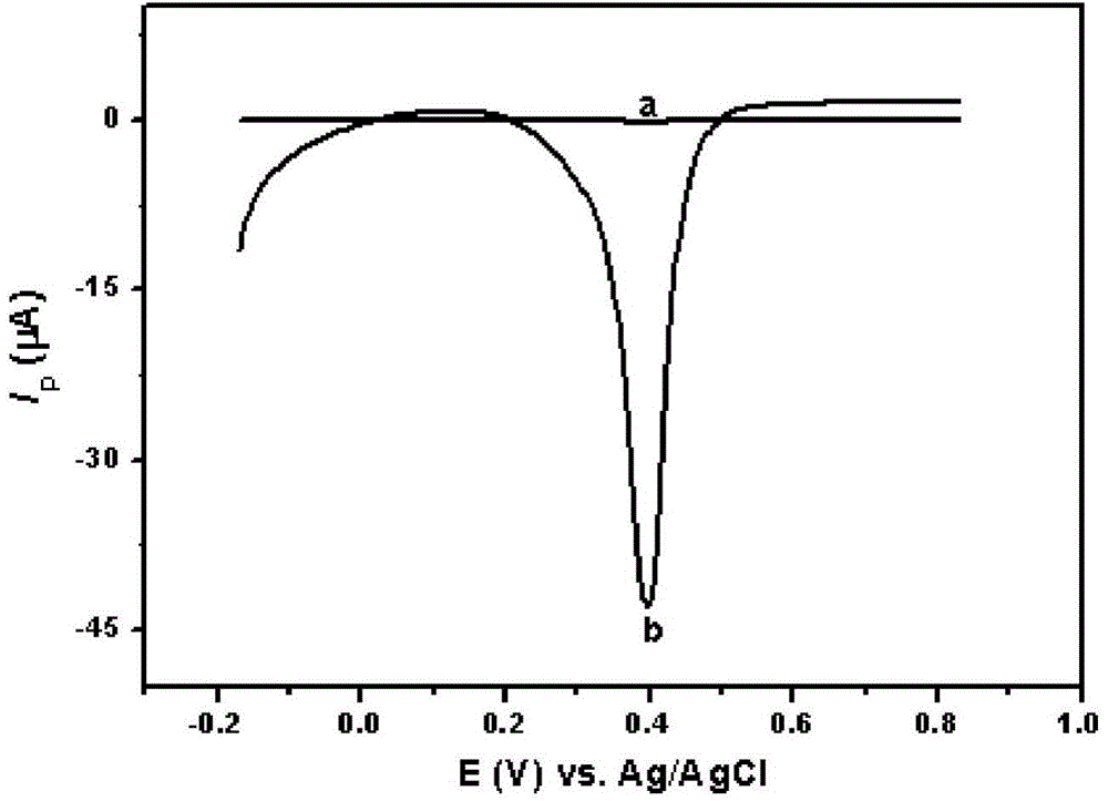 Preparation method for nanogold-nanofiber functional composite modified electrode