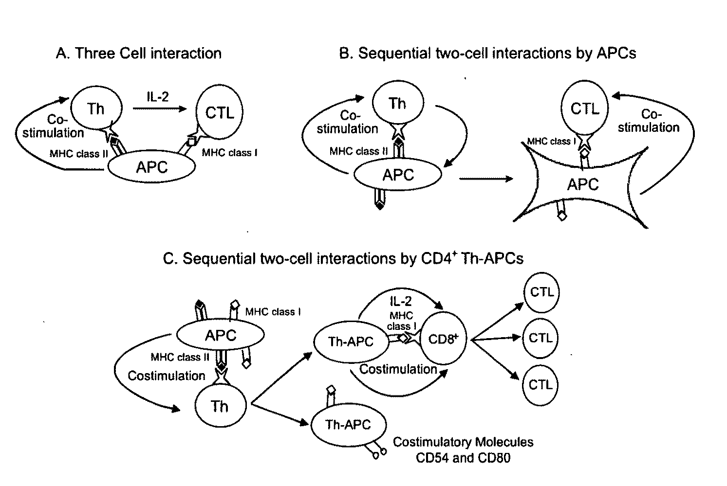 Materials and Method of Modulating the Immune Response