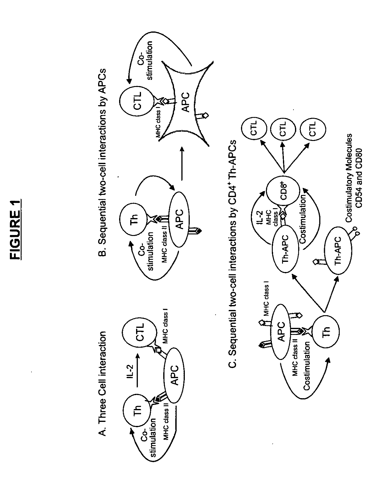 Materials and Method of Modulating the Immune Response