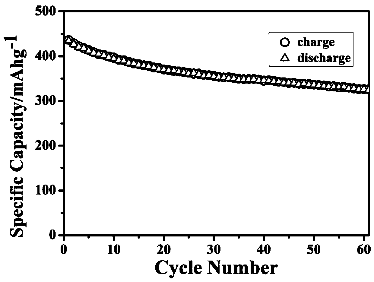 Arachnoid cobalt sulfide powder and preparation method thereof