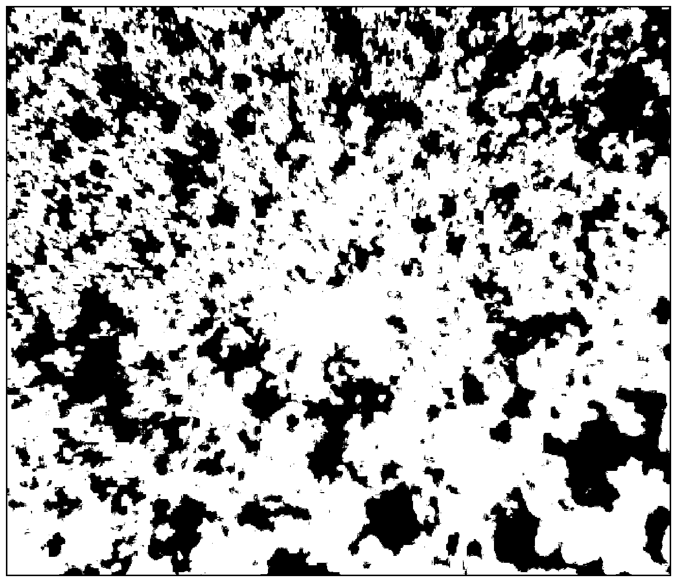 Porous chitosan metal porphyrin composite and preparation method and application thereof