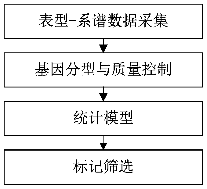 Molecular genetic marker related to effective boar sperm count