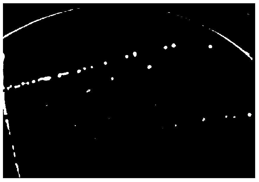 Rhizobium capable of degrading polychlorinated biphenyl and application thereof