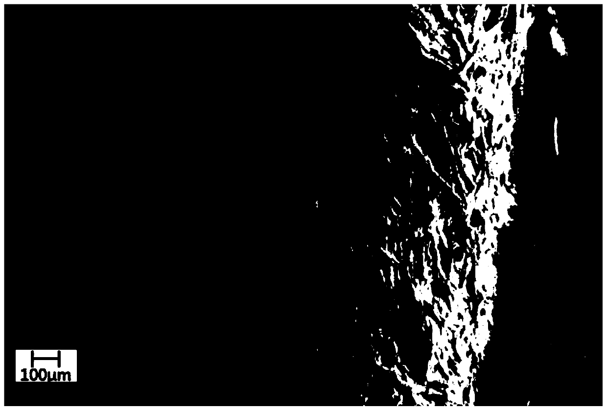 Nano-crystalline cellulose based 3D printing lactobacillus embedding material as well as preparation method and application thereof