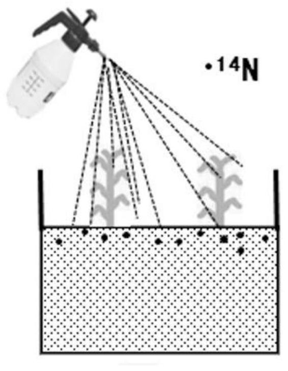 Method for quantifying nitrogen absorption and nitrogen nutrition contribution of non-root organs of crops