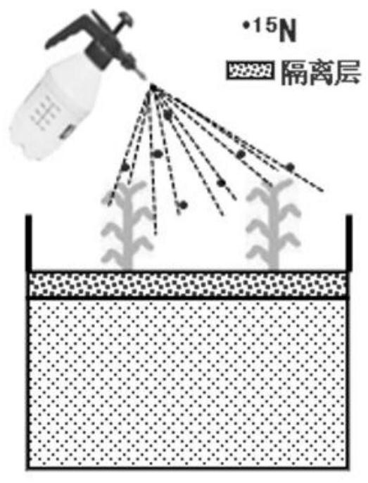 Method for quantifying nitrogen absorption and nitrogen nutrition contribution of non-root organs of crops