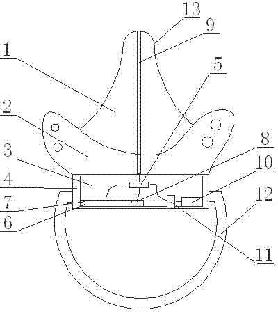 Nipple thermometer