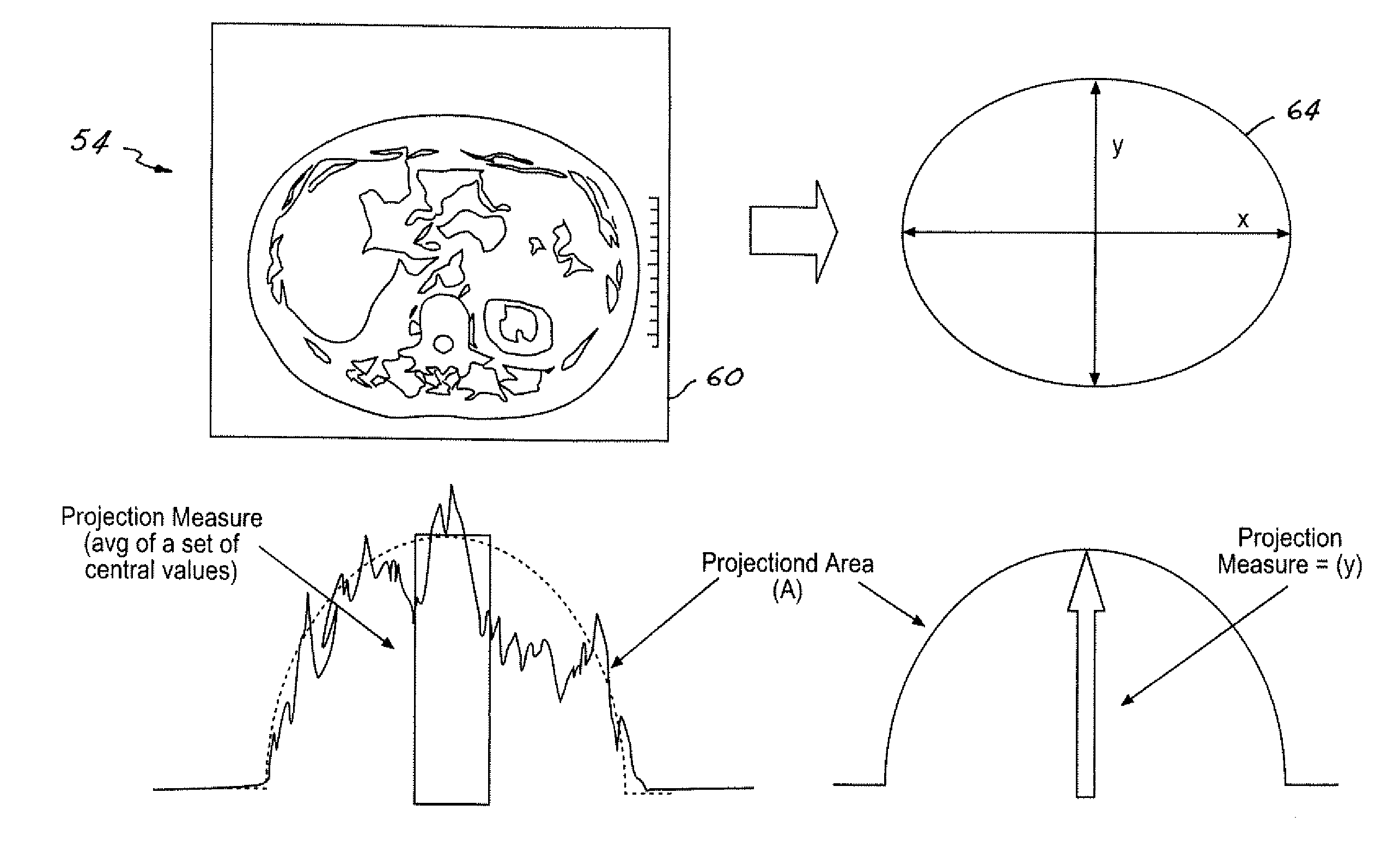 Computed tomography dose indexing phantom selection for dose reporting