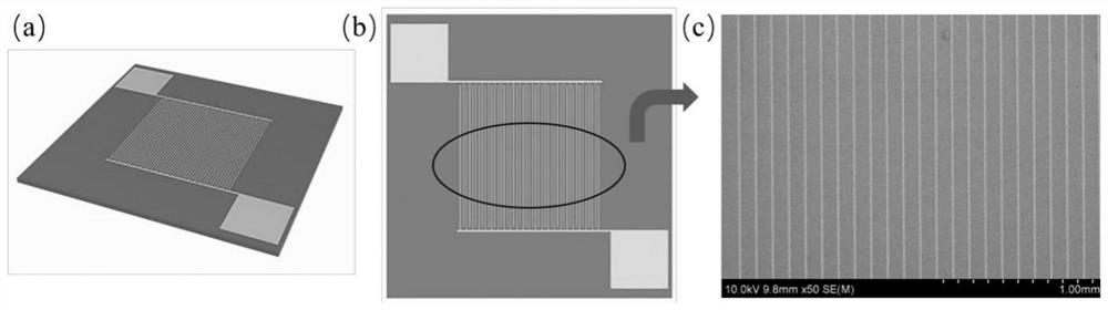 Method for preparing and testing ion-polluted Nafion film based on fuel cell catalyst layer