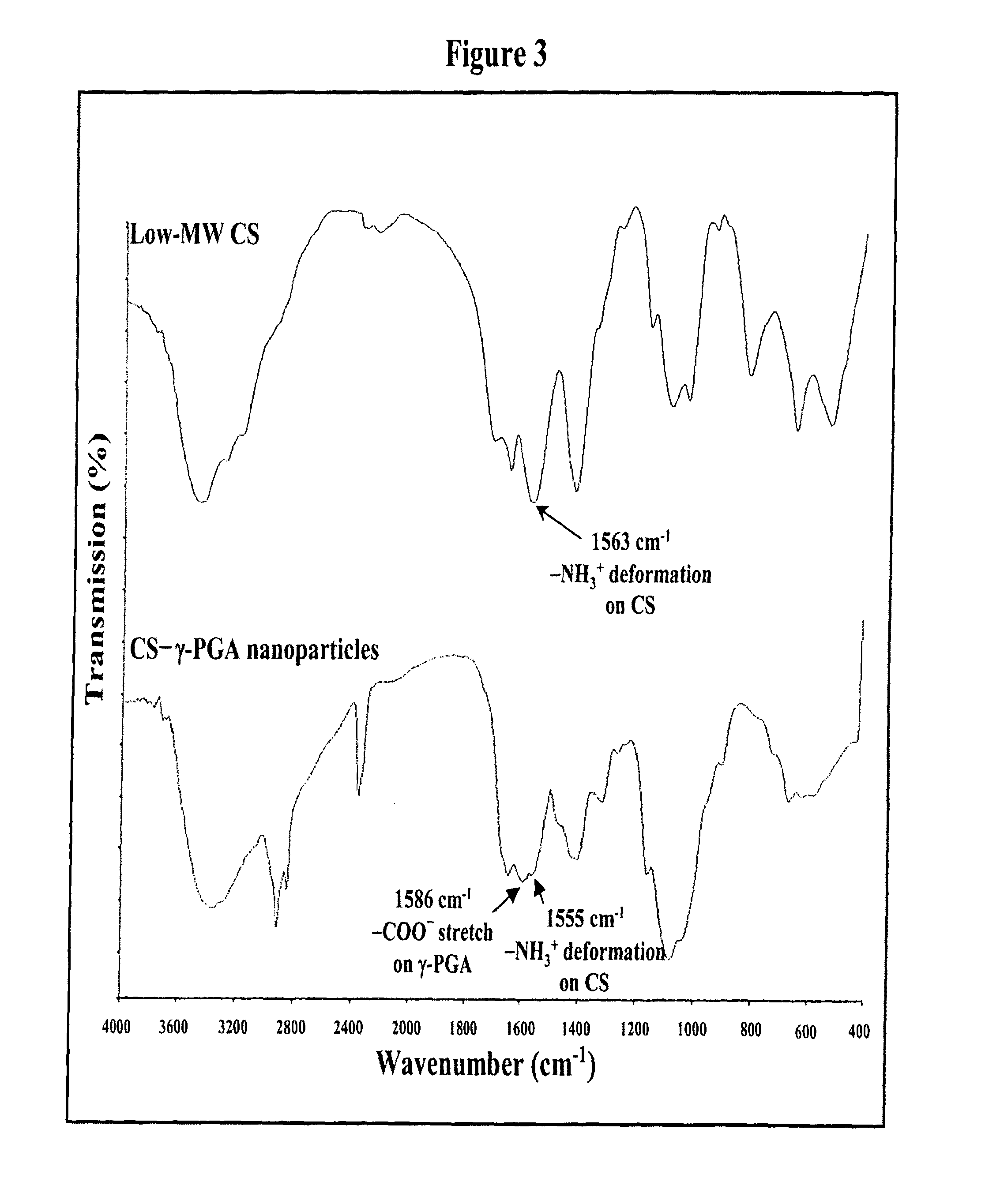 Nanoparticles for protein drug delivery