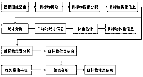 Multi-moving-target information capturing and tracking system and method