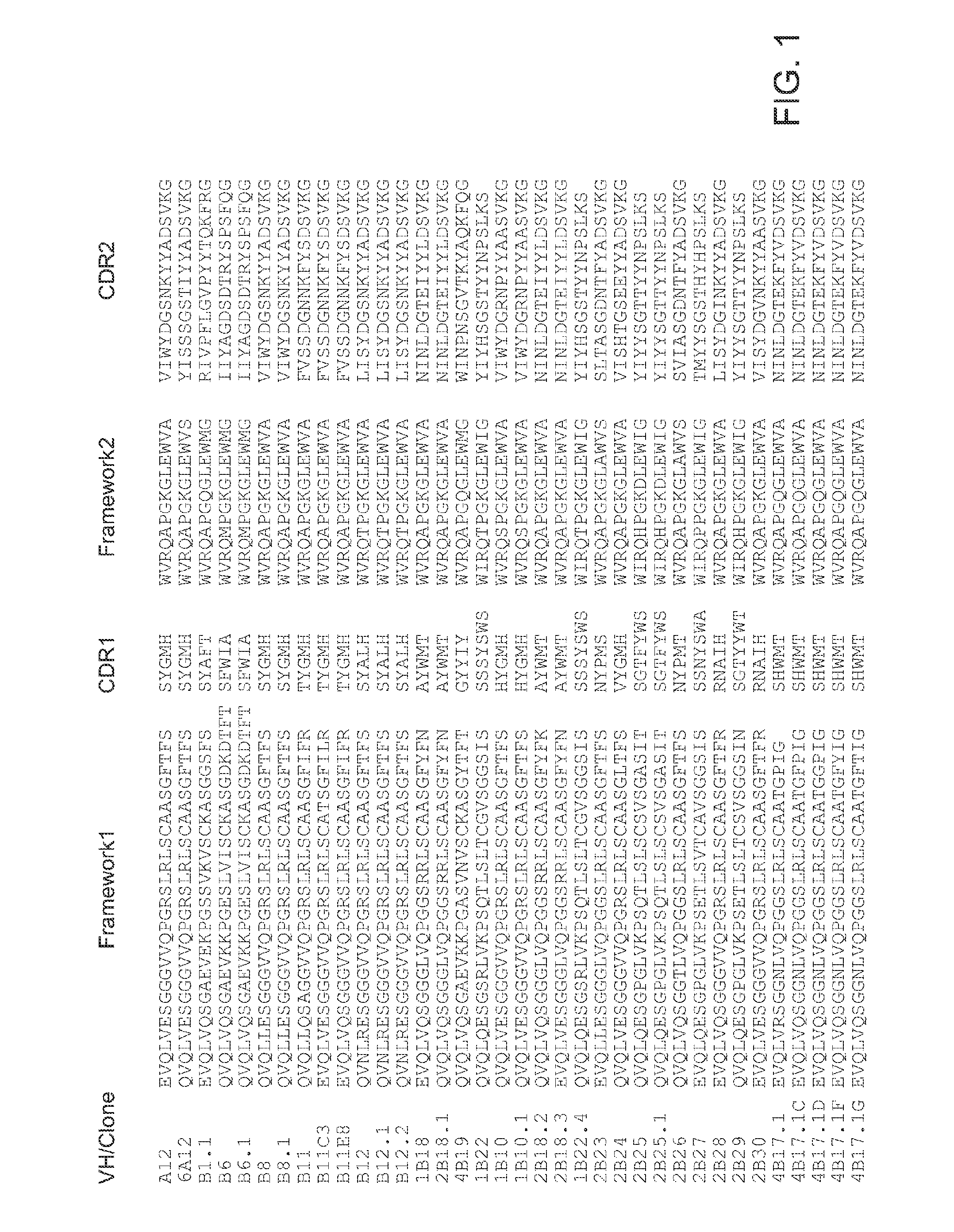 Antibodies that Neutralize Botulinum Neurotoxins