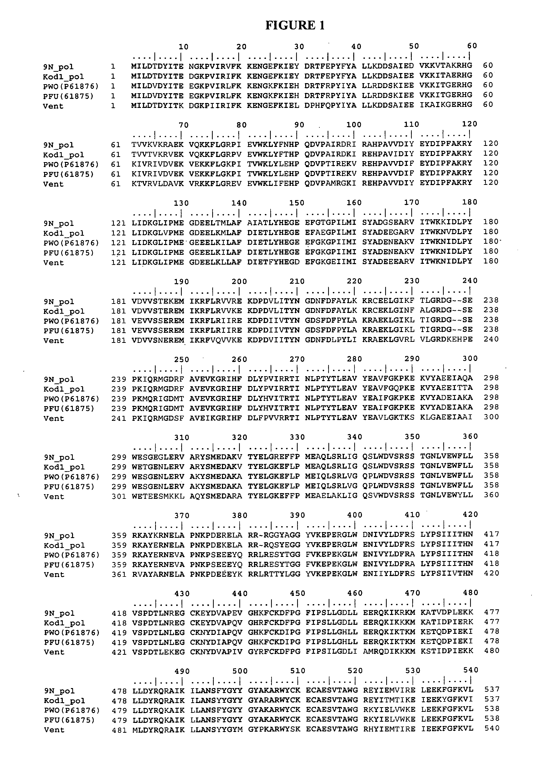 Mutant polymerases for sequencing and genotyping