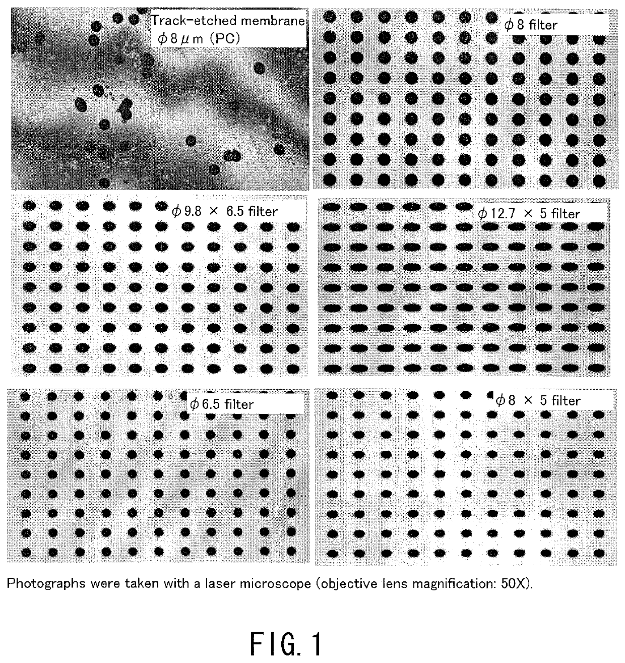 Method for processing blood sample