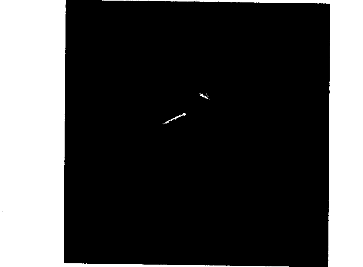 Process for preparing iron base non crystal state alloy by bar material plasma spraying