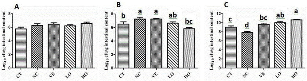 Use of origanum vulgare oil in preparation of diquat toxicity-resistant drugs and origanum vulgare oil oral emulsion