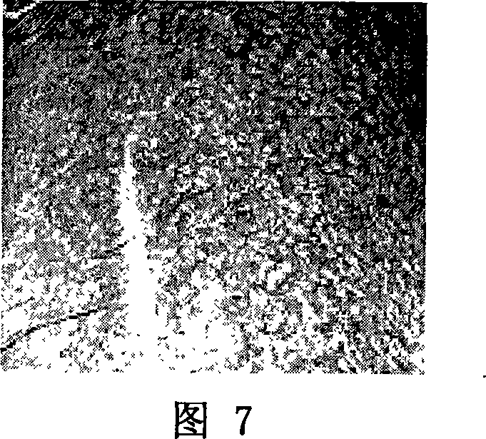 Development method of microvesicle generators