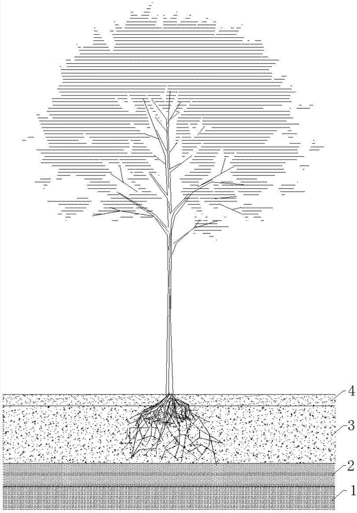 Method for comprehensively improving beach sandy soil by using biochar soil and construction waste soil