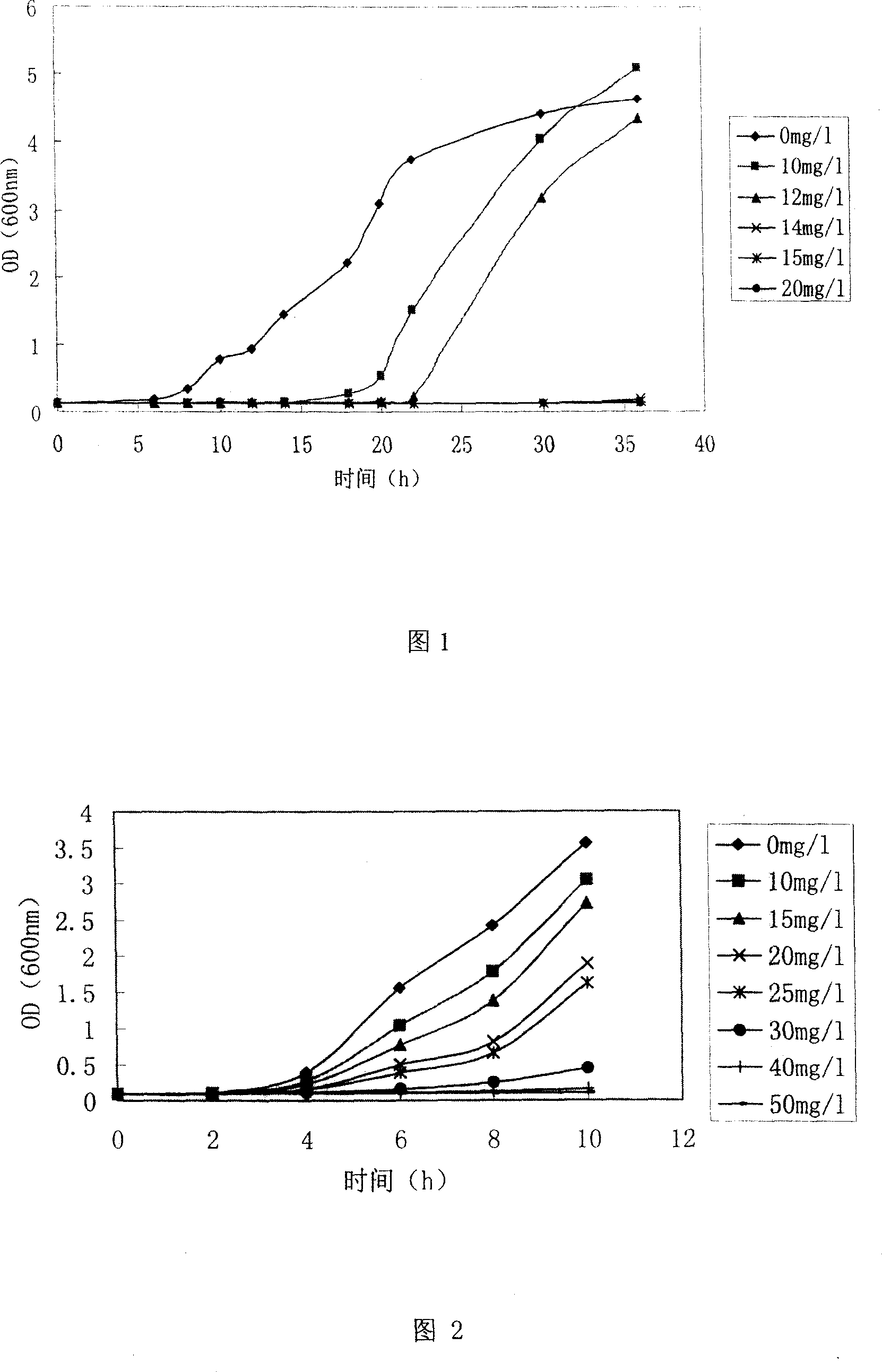 Application of sophorolipid in preparing antibiotic medicine