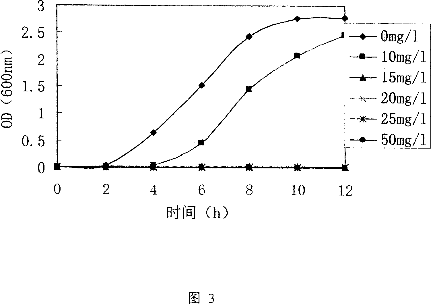 Application of sophorolipid in preparing antibiotic medicine