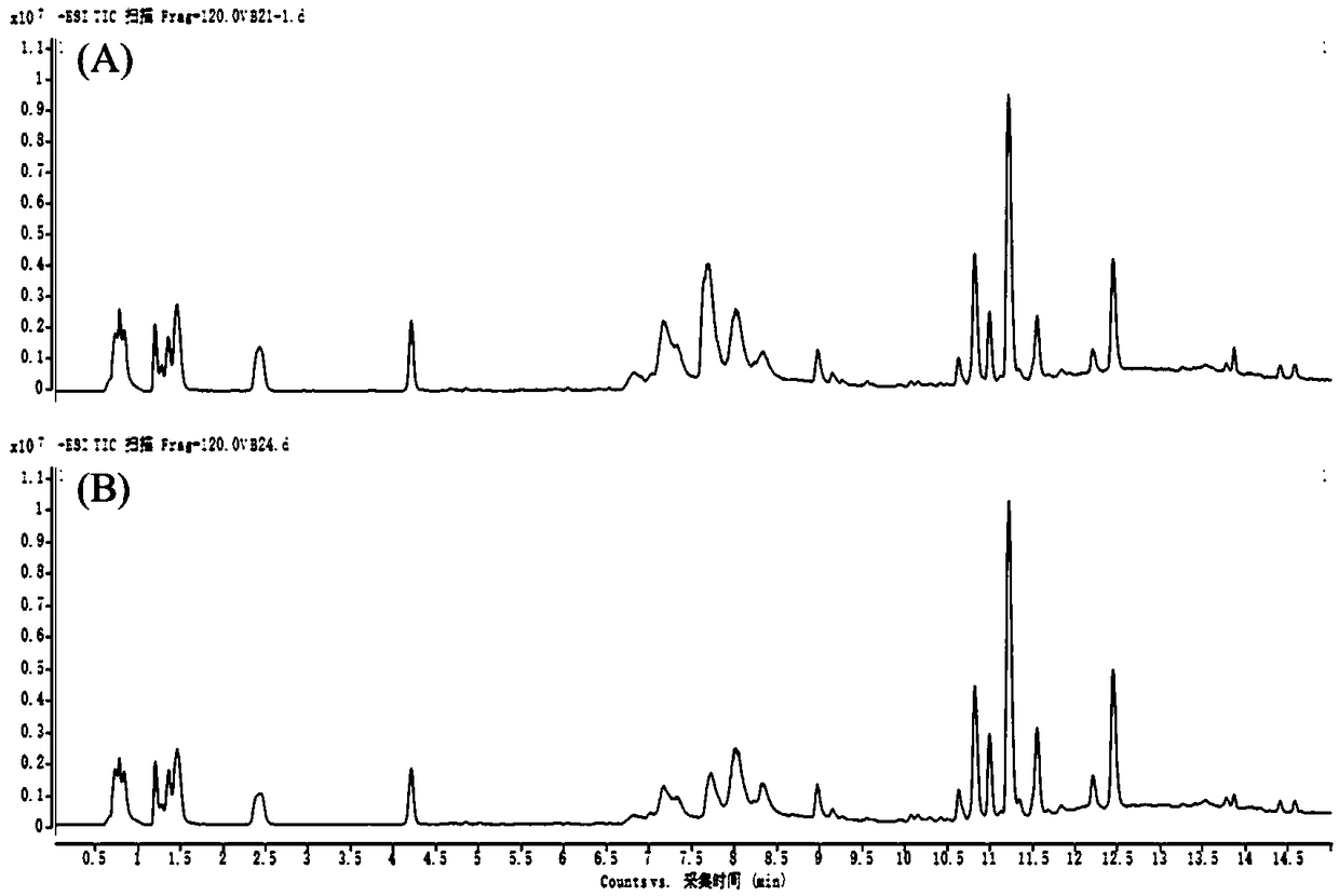 Novel method for predicting mechanism for treating diabetic nephropathy through gandi capsules on basis of metabolites in hematuria