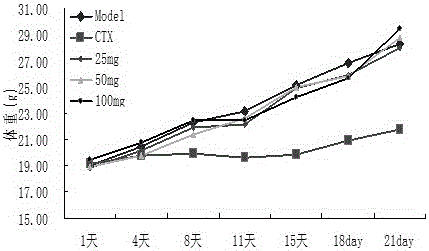 Divaricate velvetplant root and rhizome polysaccharide and application thereof in preparing medicine and functional food for immune adjustment and tumor resistance