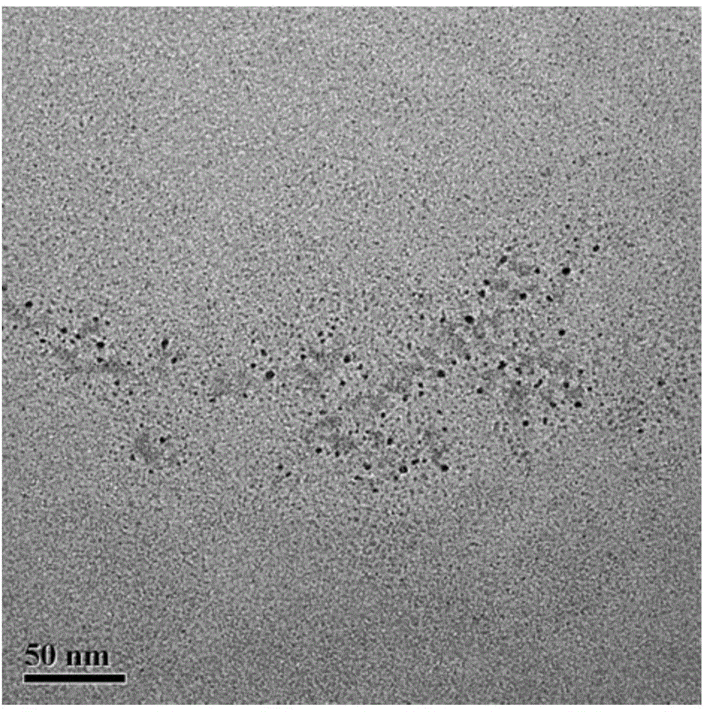 Preparation method of single-matrix carbon quantum dot white light fluorescent powder