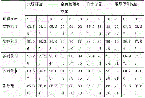 Antisepsis and anti-inflammation external traditional Chinese medicine compound gel and preparation method thereof