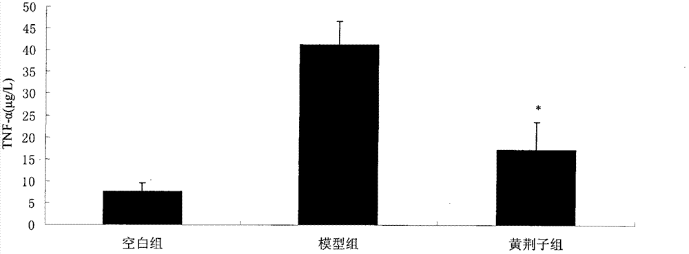 Negundo chastetree fruit extract and application thereof