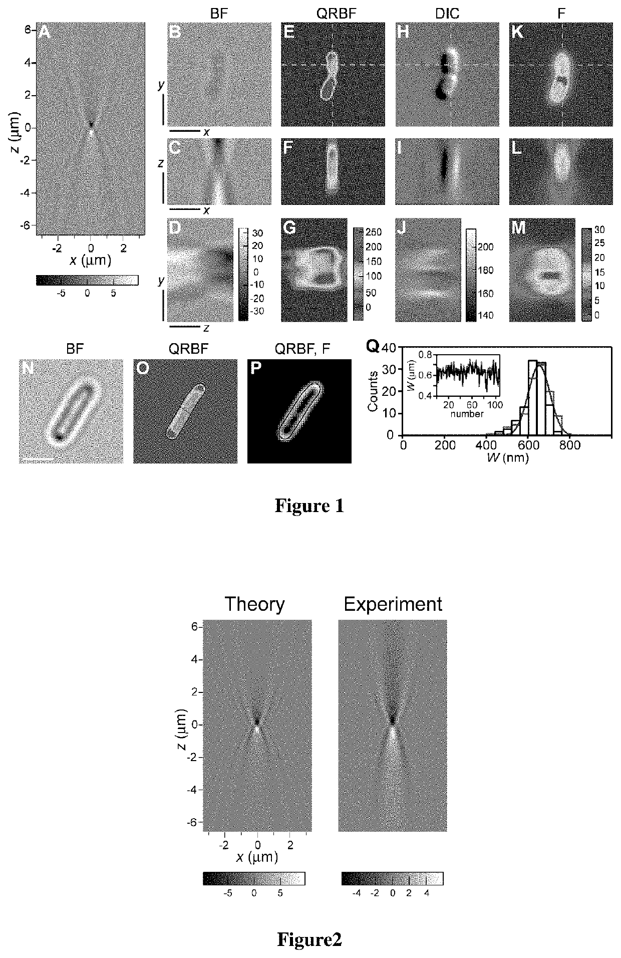 Automated quantitative restoration of bright field microscopy images