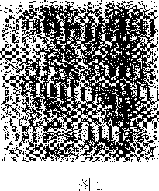 Tongue coating and tongue proper color extracting and classifying method based on pixel