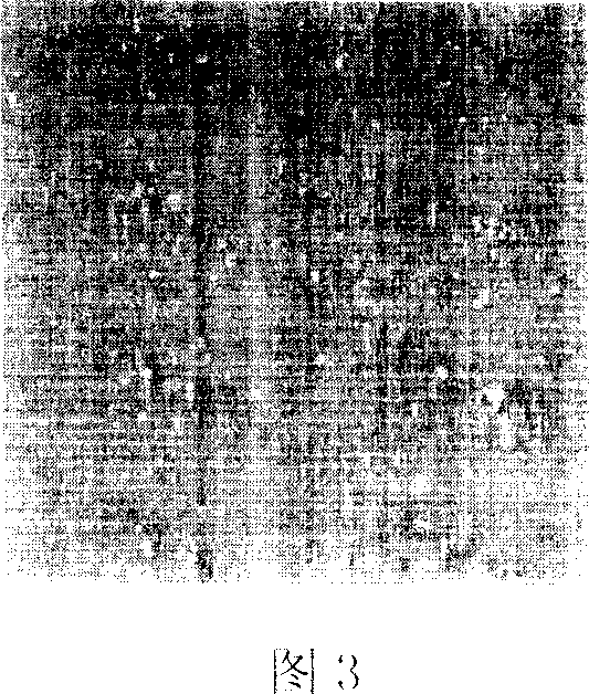 Tongue coating and tongue proper color extracting and classifying method based on pixel