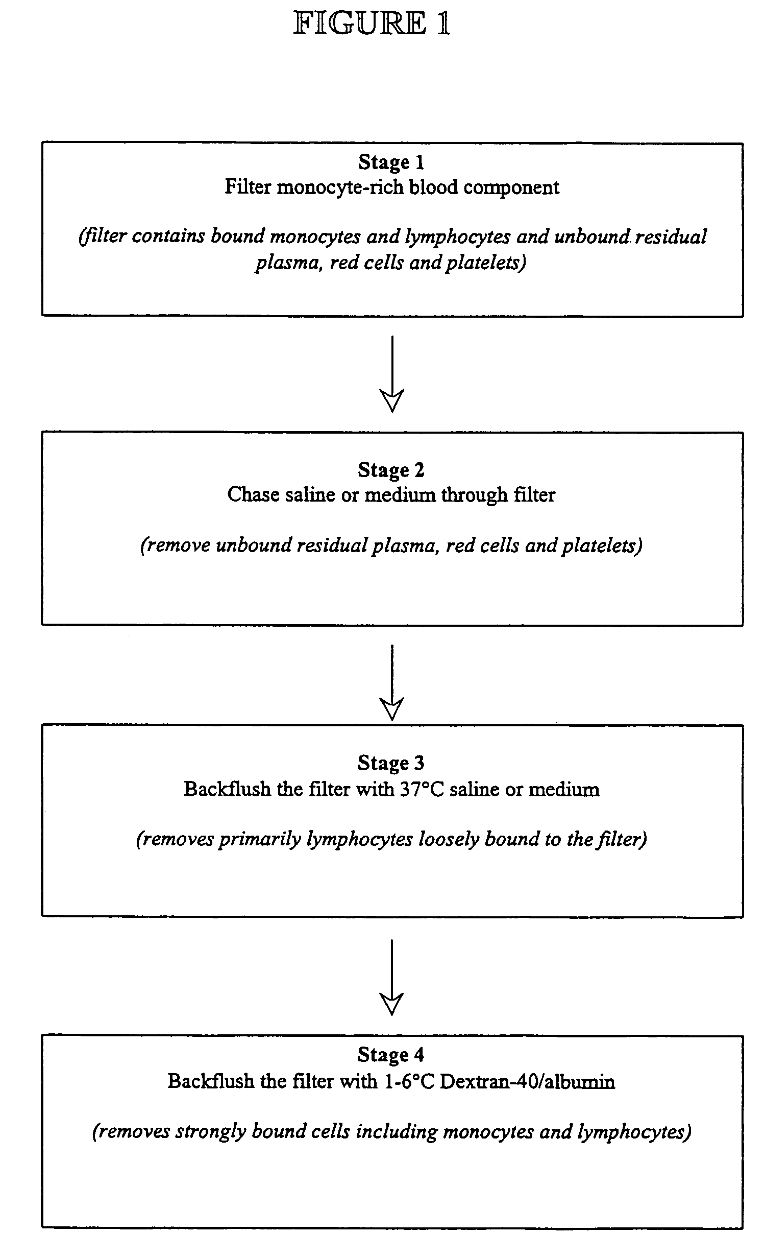 Method for enriching adherent monocyte populations