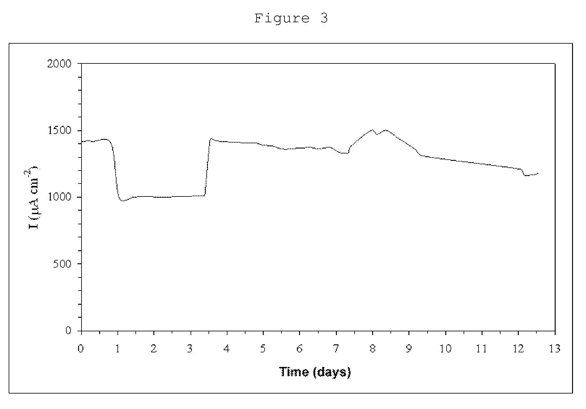 Biological electrode with the hydrogenase enzyme, method of obtaining same and applications  thereof