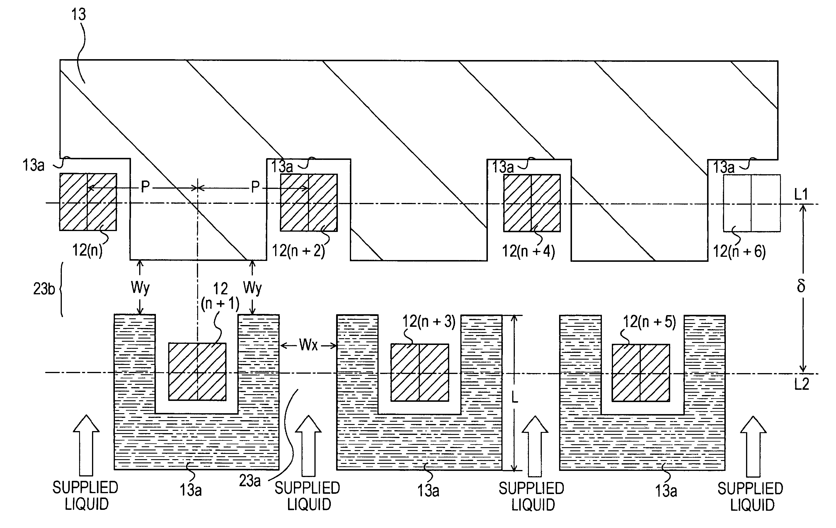 Liquid ejection head and liquid ejection apparatus