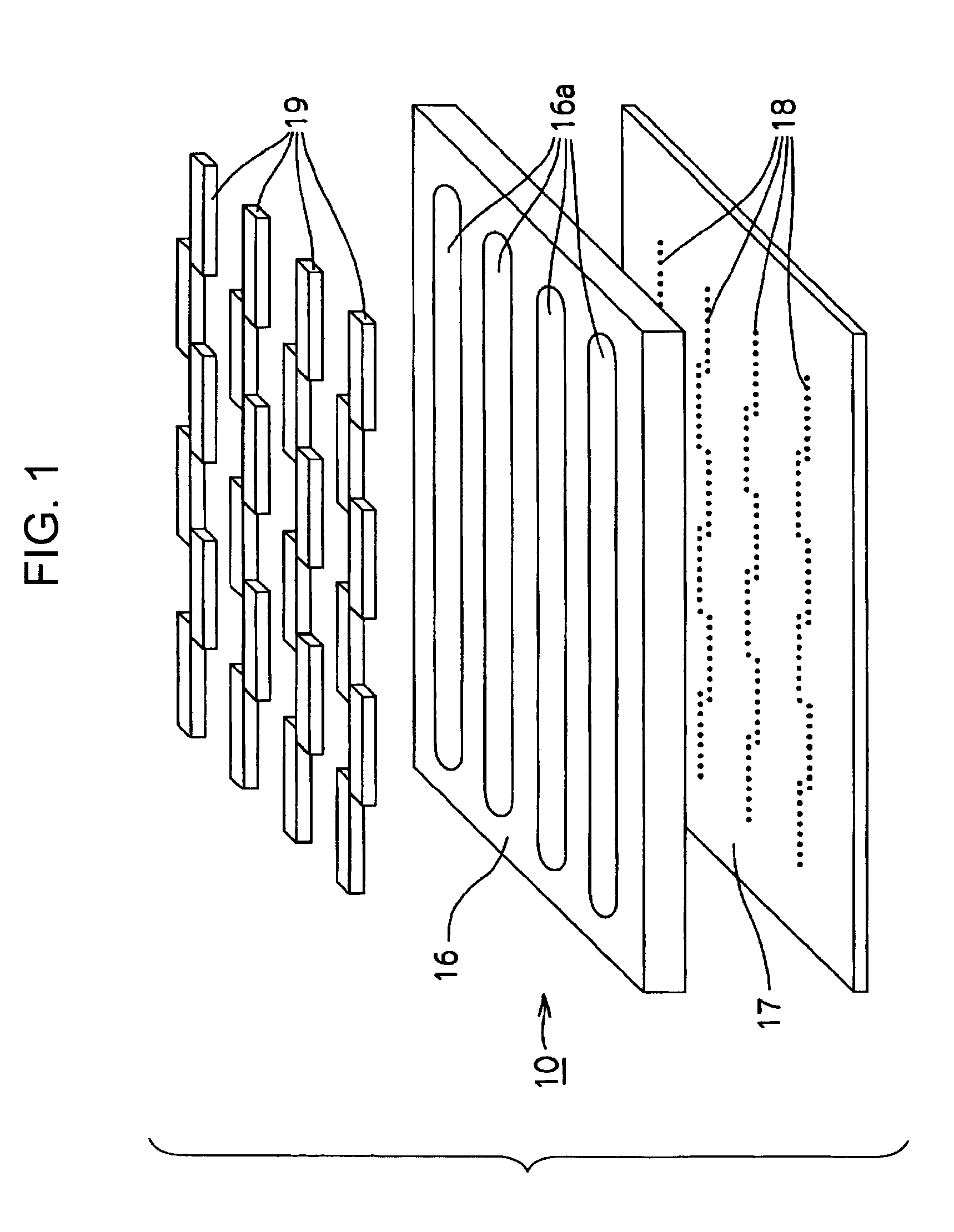 Liquid ejection head and liquid ejection apparatus