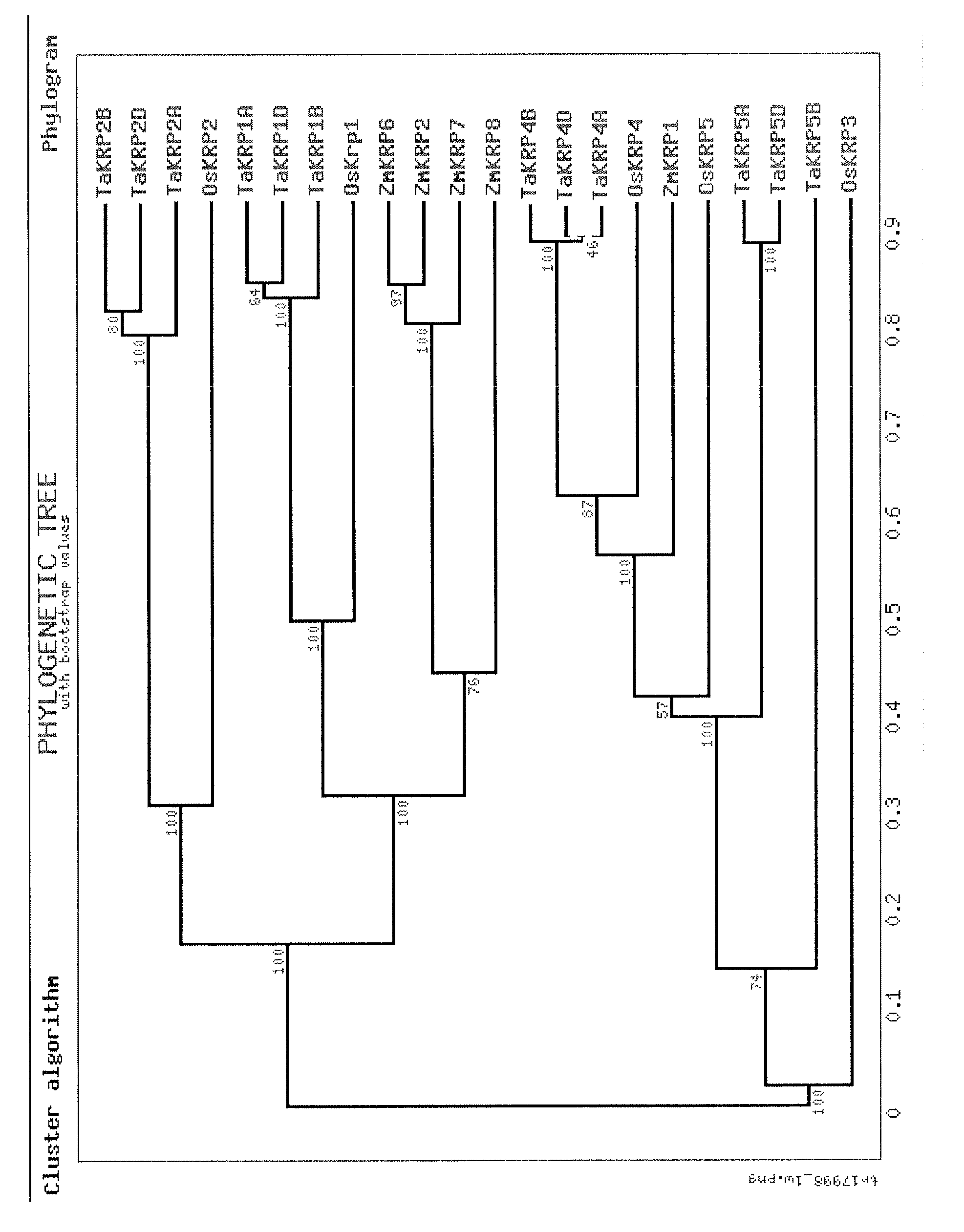 Identification and use of krp mutants in wheat