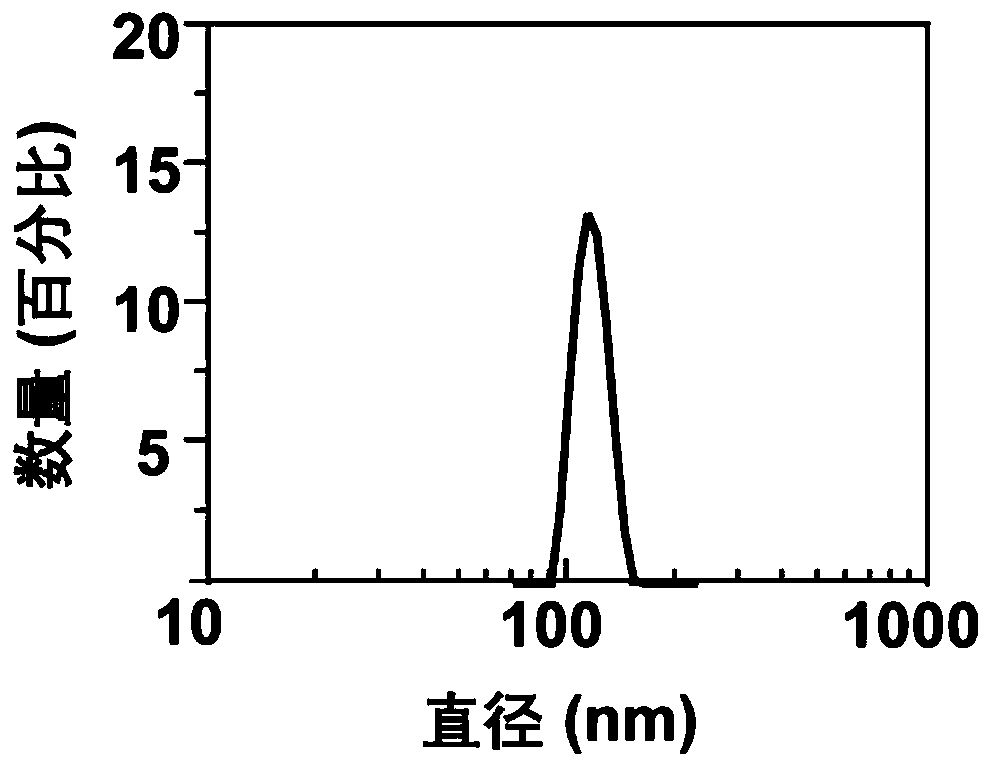 Hydrophilic nano-drug carrying beta-carotene and application thereof in preparation of drug for treating cerebral ischemia-reperfusion injury