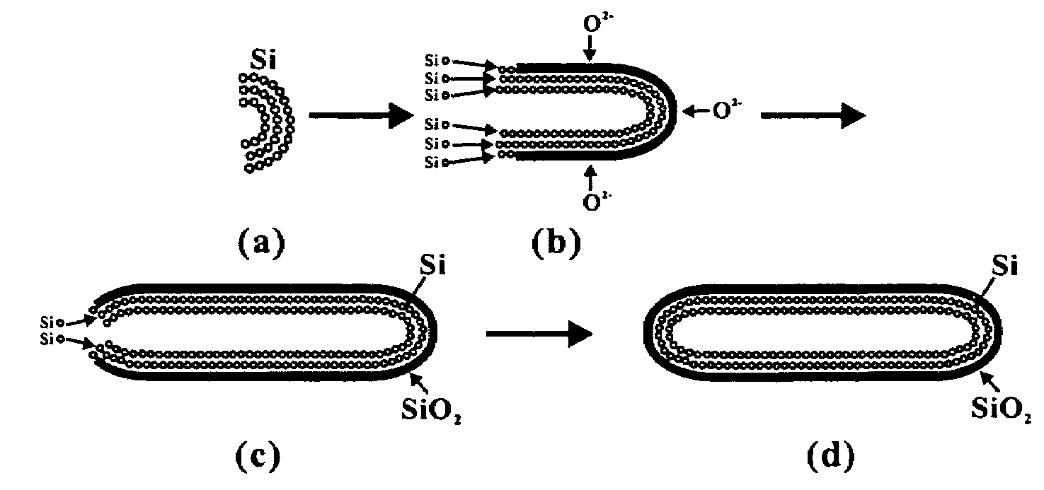 Preparation of self-assembled silicon nanotubes by hydrothermal method