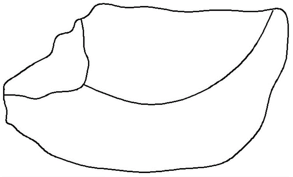 Patella osteotomy navigation template for knee arthroplasty and manufacture method