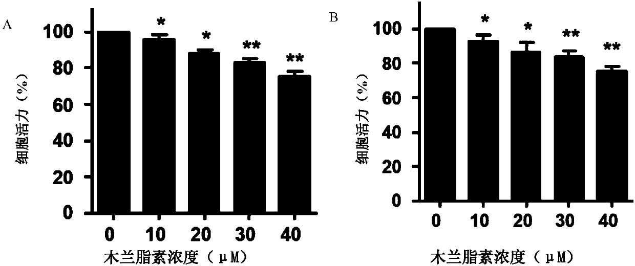 Application of magnolin in resisting colorectal cancer